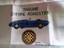 Cross stitch square for Milo R's quilt