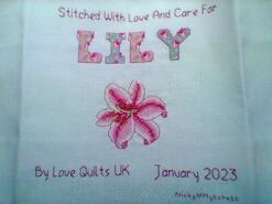 Cross stitch square for Lily D's quilt