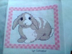 Cross stitch square for Camiyah B's quilt