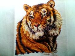 Cross stitch square for Megan E's quilt