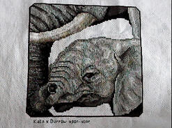 Cross stitch square for Charlie J's quilt