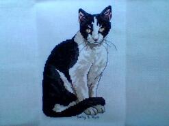 Cross stitch square for Katie B's quilt