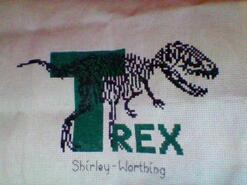 Cross stitch square for Riley-James's quilt