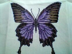Cross stitch square for Felicity J's quilt