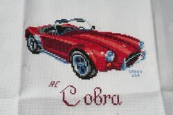 Cross stitch square for Lewis J's quilt