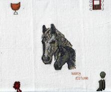 Cross stitch square for Anna-Mae's quilt