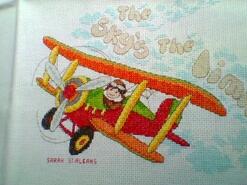 Cross stitch square for Lawson's quilt