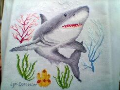 Cross stitch square for Elijah's quilt