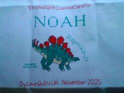 Cross stitch square for Noah B's quilt