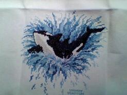 Cross stitch square for Braedan H's quilt