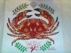Cross stitch square for Braedan H's quilt