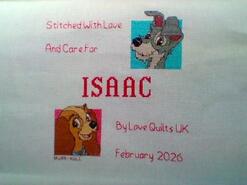 Cross stitch square for Isaac M's quilt