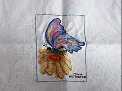 Cross stitch square for Neve D's quilt