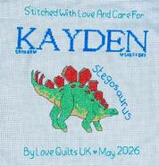 Cross stitch square for Kayden M's quilt