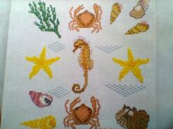 Cross stitch square for Daniel V's quilt