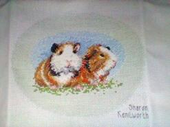 Cross stitch square for Stanley's quilt