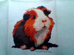 Cross stitch square for Stanley's quilt