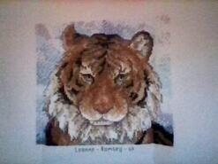 Cross stitch square for Faris H's quilt