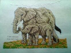 Cross stitch square for Jayden H's quilt