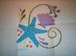 Cross stitch square for Evan's quilt