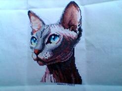 Cross stitch square for Araya N's quilt