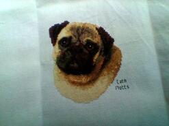Cross stitch square for Araya N's quilt