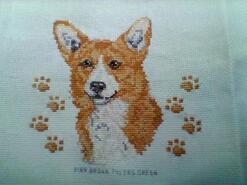 Cross stitch square for Phina N's quilt