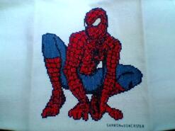 Cross stitch square for Donnie J's quilt