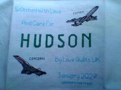 Cross stitch square for Hudson J's quilt