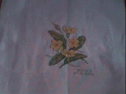 Cross stitch square for Primrose Quilt's quilt