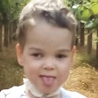 Photo of Henry N