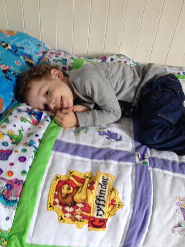 Photo of Freddie Fs quilt