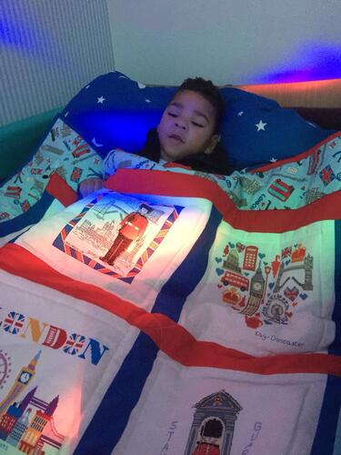 Photo of Harlie-Beaus quilt