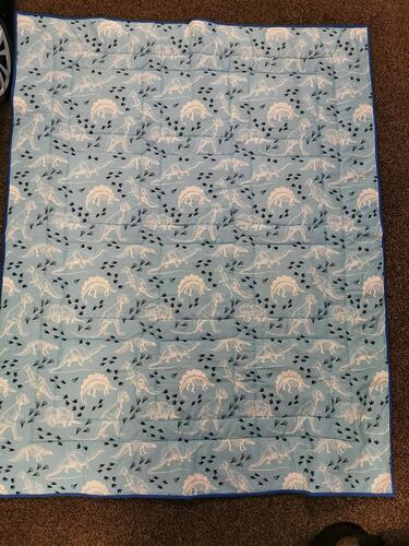 Photo of Adam Cs quilt