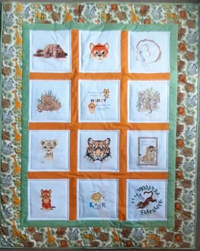 Photo of Harry Ps quilt