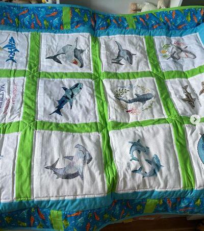 Photo of Matthew Bs quilt