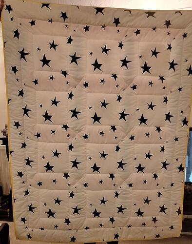 Photo of Alexander Ss quilt
