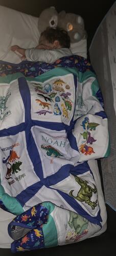 Photo of Noah Bs quilt