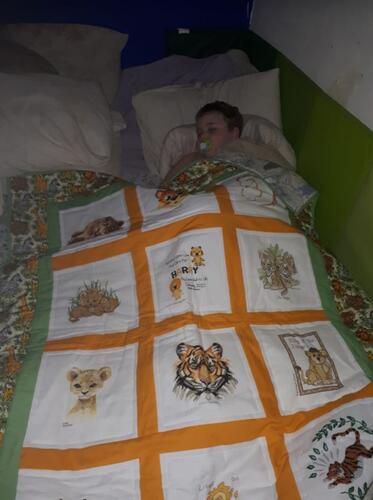 Photo of Harry Ps quilt