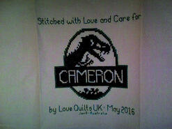 Cross stitch square for Cameron E's quilt