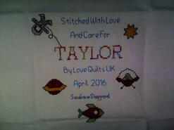 Cross stitch square for Taylor's quilt