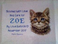 Cross stitch square for Zoe T's quilt