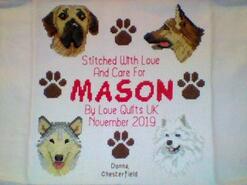 Cross stitch square for Mason B's quilt