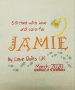Cross stitch square for Jamie J's quilt