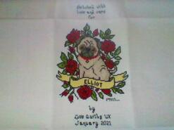 Cross stitch square for Elliot C's quilt
