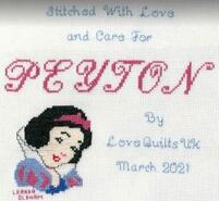 Cross stitch square for Peyton's quilt