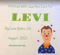 Cross stitch square for Levi K's quilt