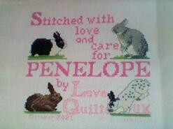 Cross stitch square for Penelope P's quilt