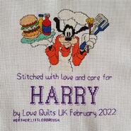 Cross stitch square for Harry B's quilt