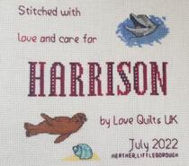Cross stitch square for Harrison L's quilt